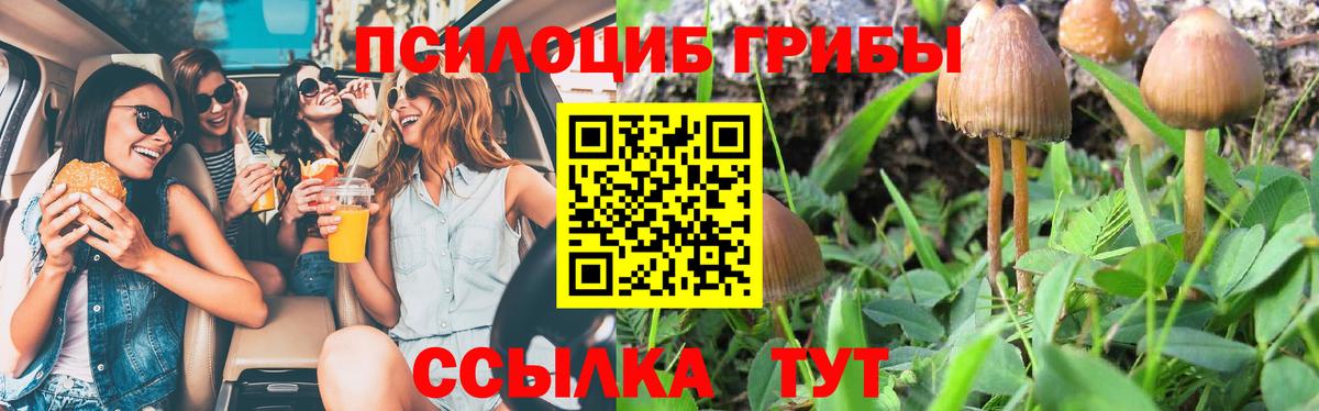 Псилоцибиновые грибы Cubensis Керчь