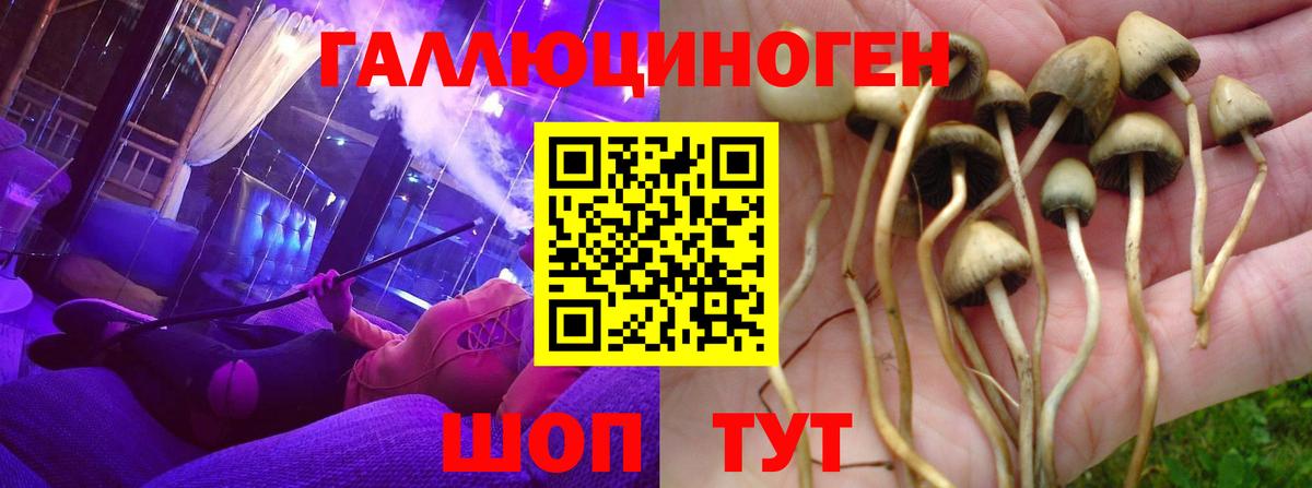 Галлюциногенные грибы ЛСД  Псилоцибиновые грибы MAGIC MUSHROOMS  Керчь  Вход с VPN 